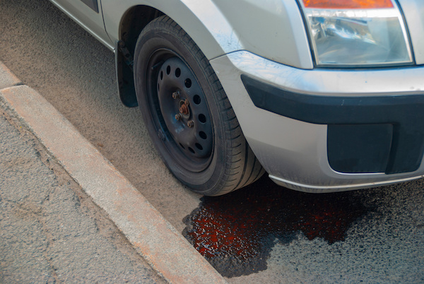 Common Reasons for Transmission Fluid Leaks